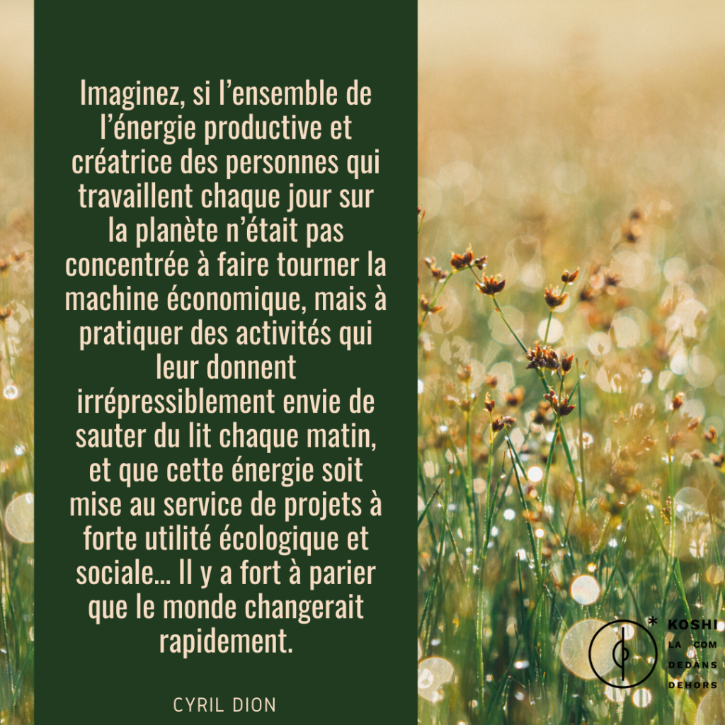 image-citation-dion-accompagnement-rse-formation-demarche-strategie-rse